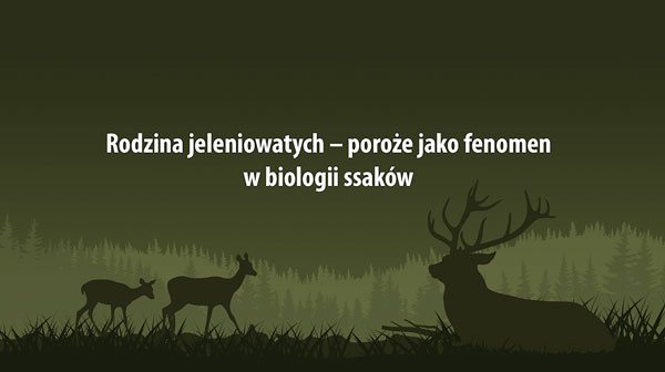 Rodzina jeleniowatych - poroże jako fenomen w biologii ssaków