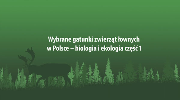 Wybrane gatunki zwierząt łownych w Polsce - biologia i ekologia część 1