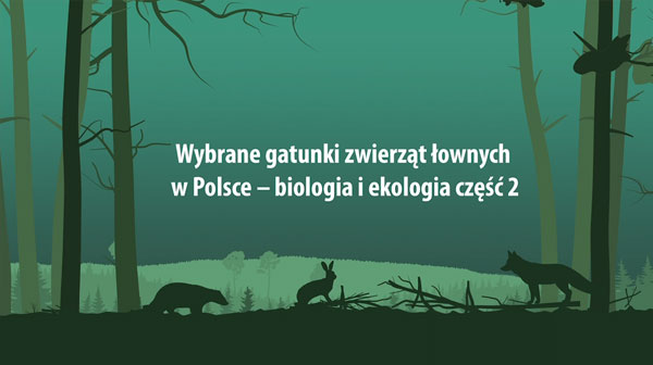 Wybrane gatunki zwierząt łownych w Polsce – biologia i ekologia część 2